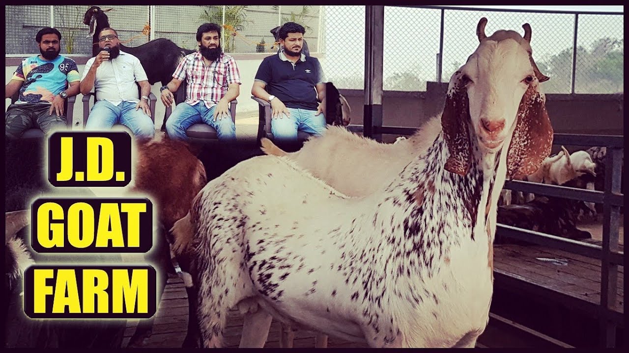 JD Goat Farm Mumbai